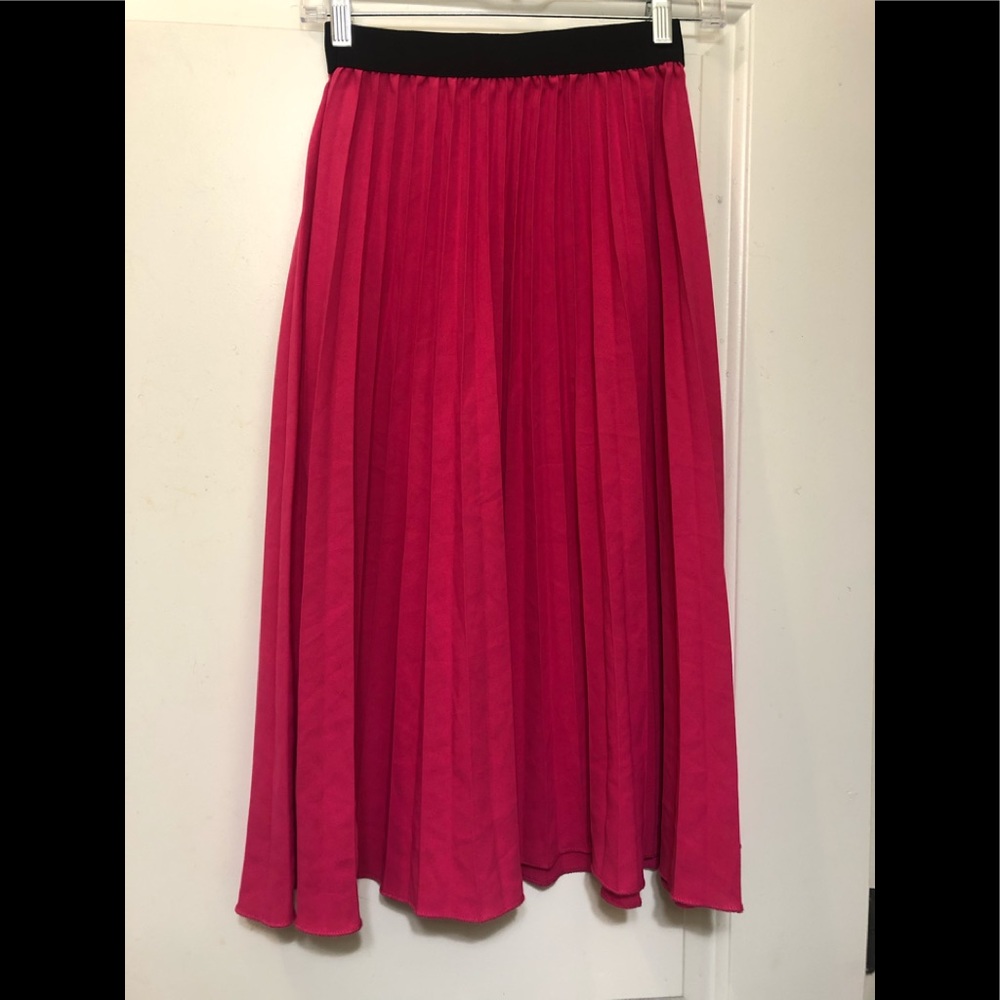 Pleated Skirt